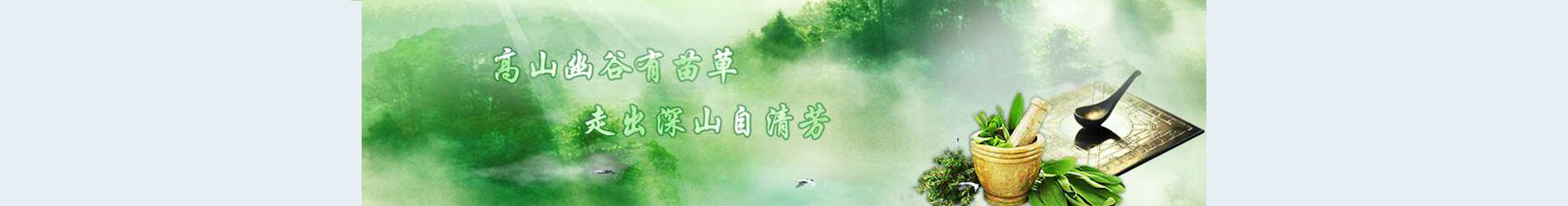 醫(yī)用退熱貼